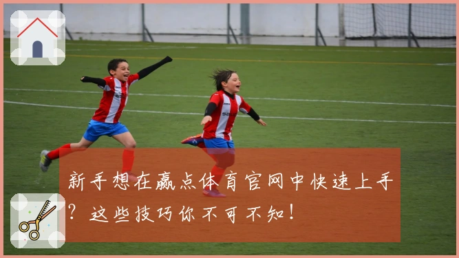 新手想在赢点体育官网中快速上手？这些技巧你不可不知！