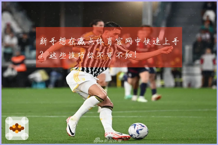 新手想在赢点体育官网中快速上手？这些技巧你不可不知！