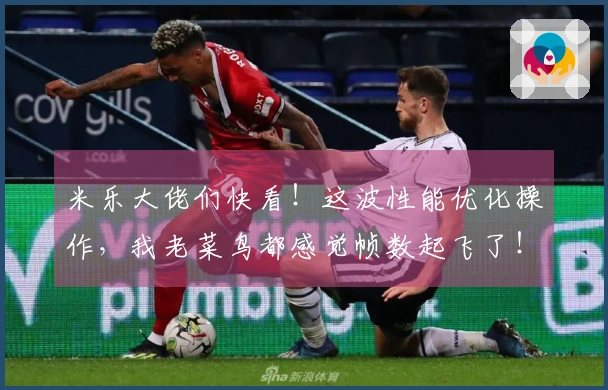 米乐大佬们快看！这波性能优化操作，我老菜鸟都感觉帧数起飞了！