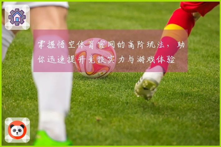 掌握悟空体育官网的高阶玩法，助你迅速提升竞技实力与游戏体验